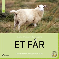 Et får