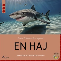 En haj