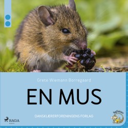 En mus