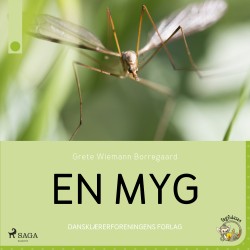 En myg