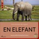 En elefant
