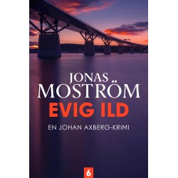 Evig ild - 6: En Johan Axberg-krimi 6