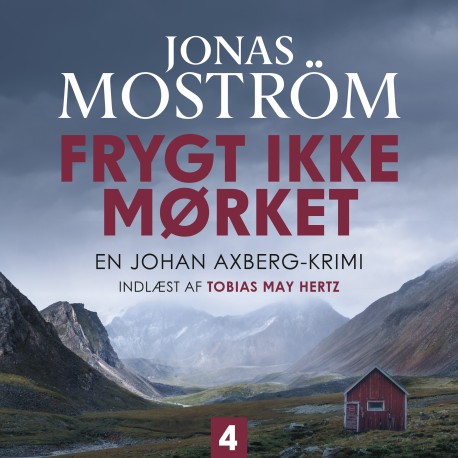 Frygt ikke mørket - 4: En Johan Axberg-krimi 4
