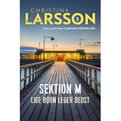 Sektion M - 5: Lige børn leger bedst