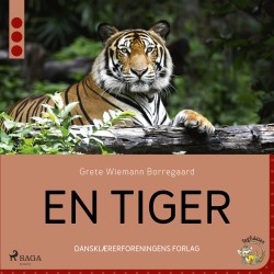 En tiger