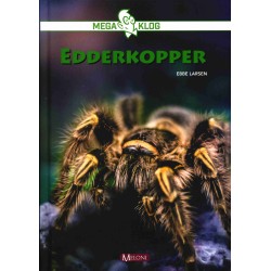 Edderkopper