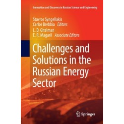 Challenges and Solutions in the Russian Energy Sector