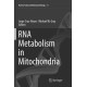 RNA Metabolism in Mitochondria