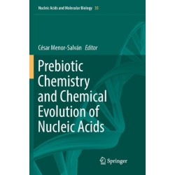 Prebiotic Chemistry and Chemical Evolution of Nucleic Acids