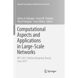 Computational Aspects and Applications in Large-Scale Networks: NET 2017, Nizhny Novgorod, Russia, June 2017