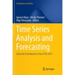 Time Series Analysis and Forecasting: Selected Contributions from ITISE 2017