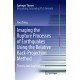 Imaging the Rupture Processes of Earthquakes Using the Relative Back-Projection Method: Theory and Applications