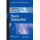 Plasma Fluidized Bed
