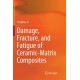 Damage, Fracture, and Fatigue of Ceramic-Matrix Composites