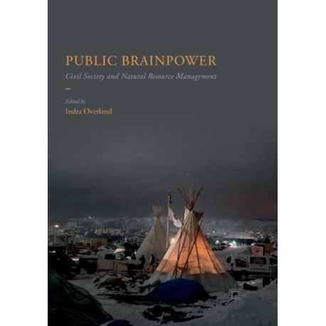 Public Brainpower: Civil Society and Natural Resource Management