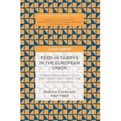 Feed-in tariffs in the European Union: Renewable energy policy, the internal electricity market and economic expertise