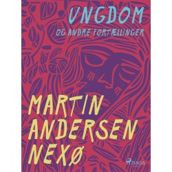 Ungdom og andre fortællinger