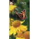 National Trust Deluxe Slim Diary 2026