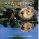 Sea Otters: Photographs by Tom and Pat Leeson 2026 Wall Calendar