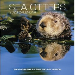 Sea Otters: Photographs by Tom and Pat Leeson 2026 Wall Calendar