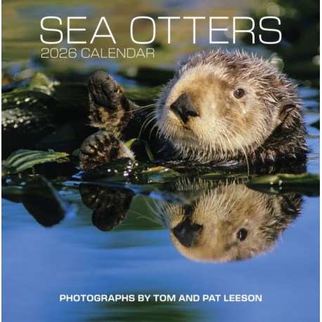 Sea Otters: Photographs by Tom and Pat Leeson 2026 Wall Calendar