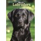 Labrador Retrievers Black A5 Diary 2026