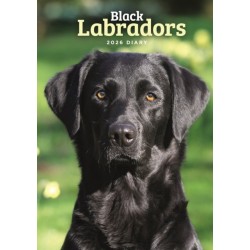 Labrador Retrievers Black A5 Diary 2026