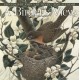 Birder's View: Paintings by John A. Ruthven 2026 Wall Calendar