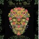 Day of the Dead: The Skull Paintings of Tino Rodriguez and Virgo Paraiso 2026 Wall Calendar