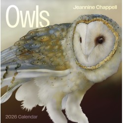 Owls: Jeannine Chappell 2026 Wall Calendar