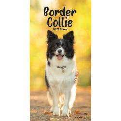 Border Collies Slim Diary 2026