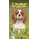 Cavalier King Charles Spaniels Slim Diary 2026