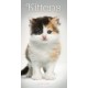 Kittens Slim Diary 2026