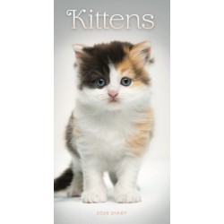 Kittens Slim Diary 2026