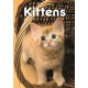 Kittens A5 Diary 2026