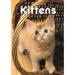 Kittens A5 Diary 2026