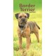 Border Terriers Slim Diary 2026