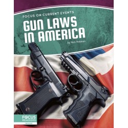 Gun Laws in America
