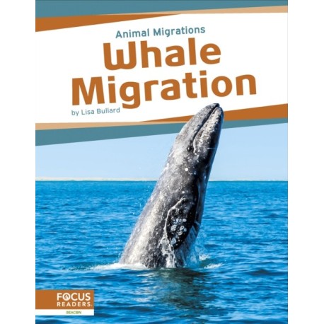 Whale Migration