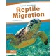 Reptile Migration