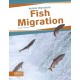 Fish Migration