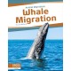 Whale Migration