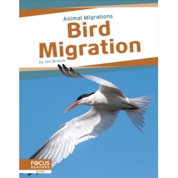 Bird Migration
