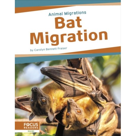 Bat Migration