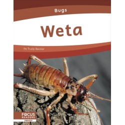 Weta