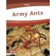 Army Ants