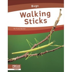 Walking Sticks