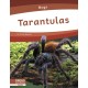 Tarantulas