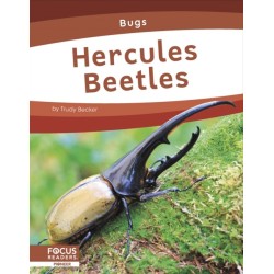 Hercules Beetles
