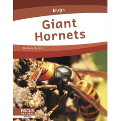 Giant Hornets
